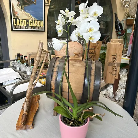 E Ristorante Cassone Ξενοδοχείο 2*