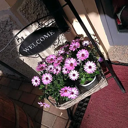 E Ristorante Cassone 2*