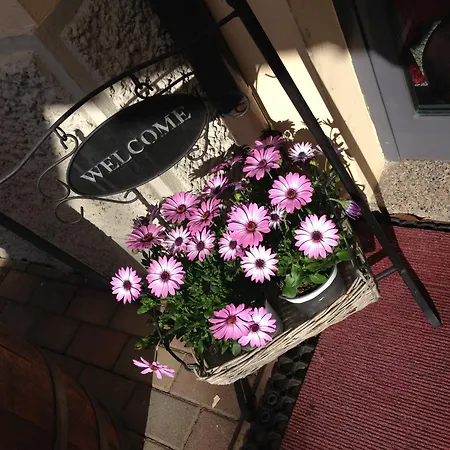 Ξενοδοχείο E Ristorante Cassone Μαλτσεζίνε