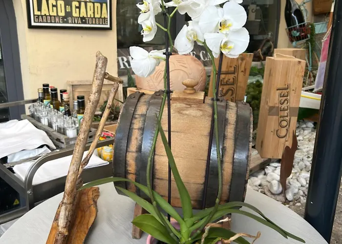 E Ristorante Cassone Отель 2*