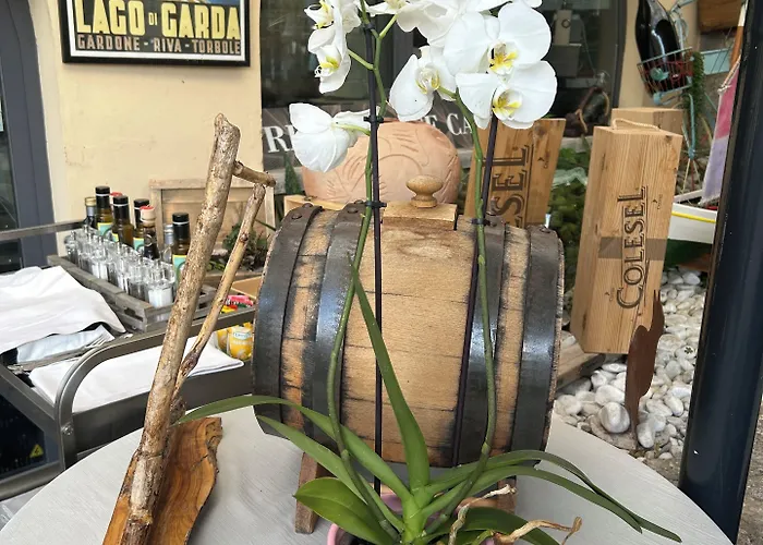 E Ristorante Cassone Отель 2*